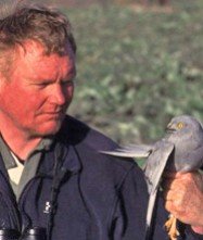 Reisleider - Arend Wassink - BirdingBreaks.jpg Reisleider - Arend Wassink - BirdingBreaks.jpg