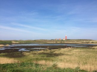 Vogelweekend Texel, waddentour ism met vogelbescherming -BirdingBreaks
