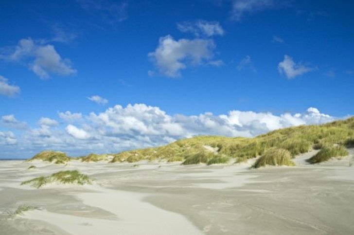 ROOTS Najaarsweekend Vlieland- BirdingBreaks 