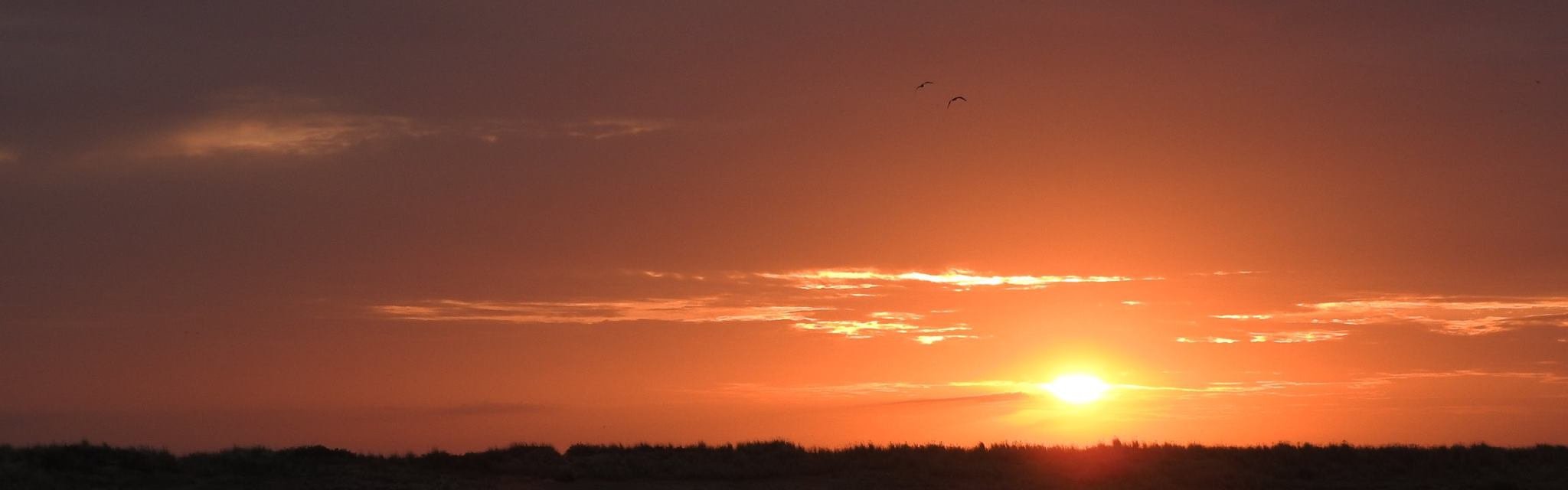 Texel - Laurens Steijn