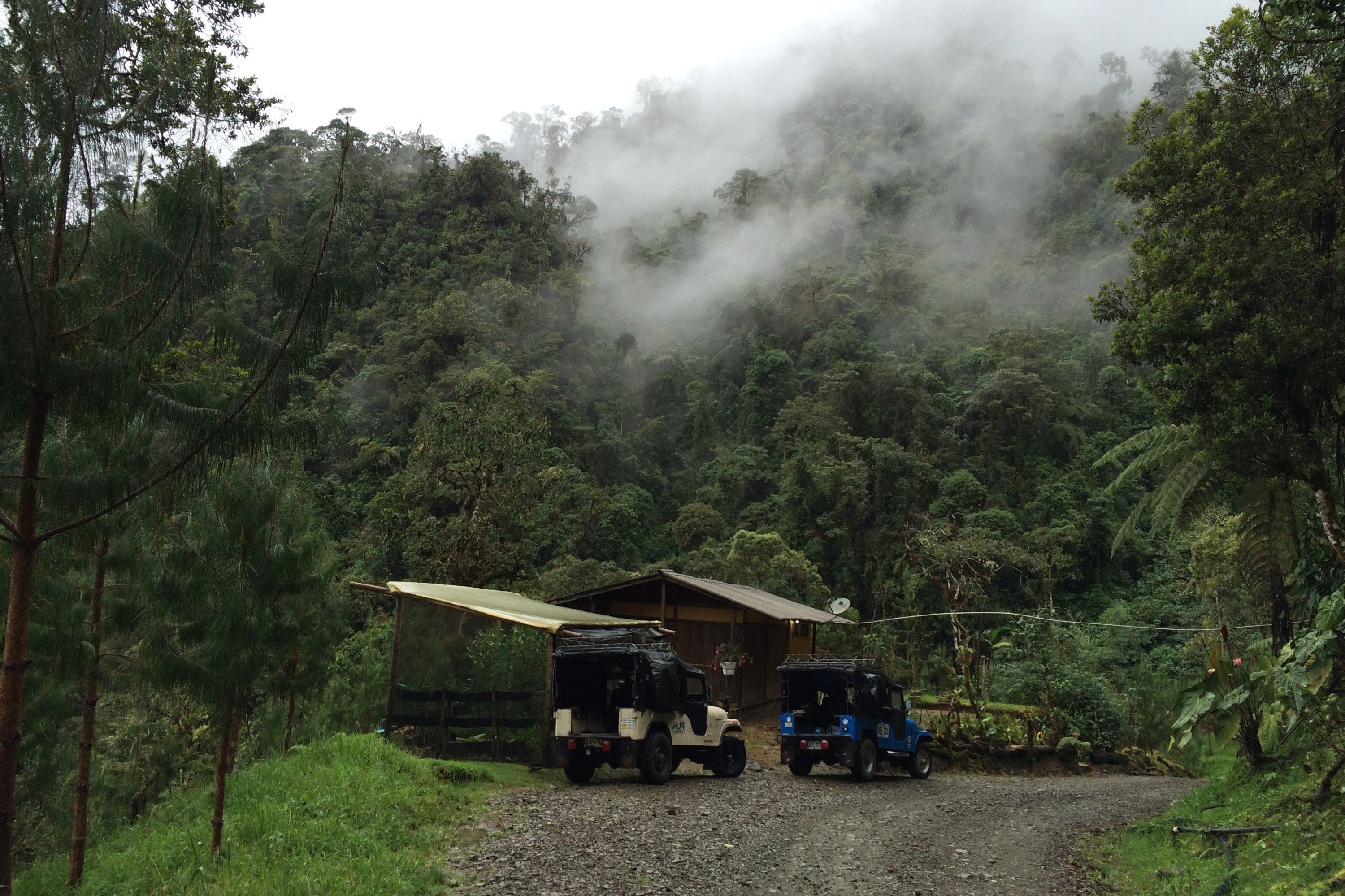 Kilauea Mountain steekpenningen Veronderstellen Easy Birding Colombia - BirdingBreaks