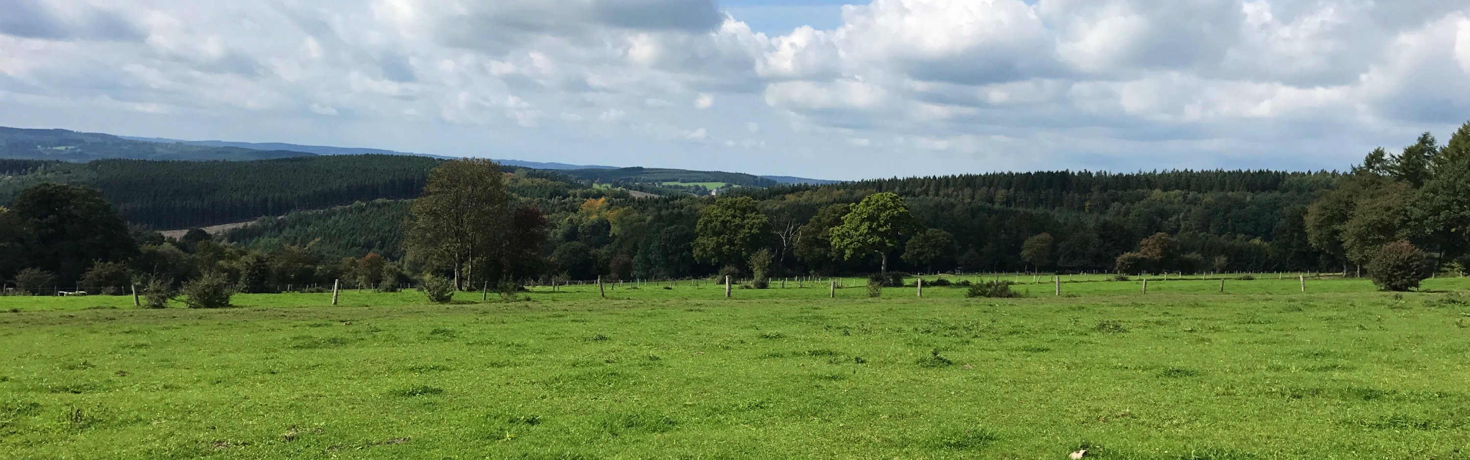 Ardennen nabij Vielsalm - Laurens Steijn