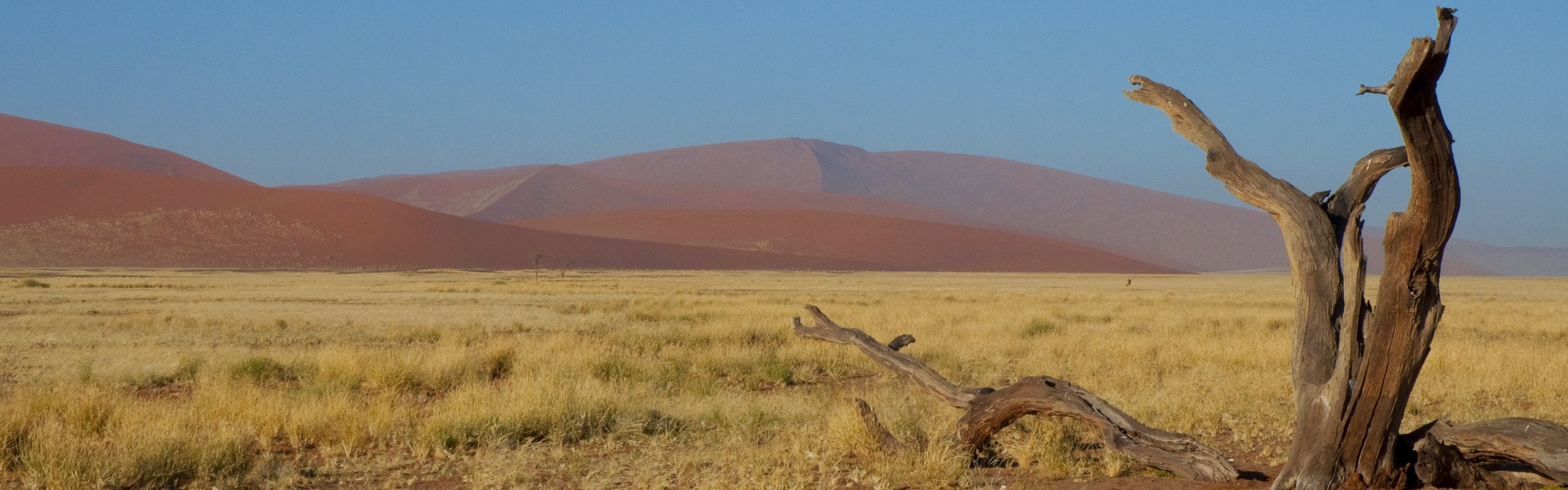 Sossusvlei, Namibië - Jacob Garvelink