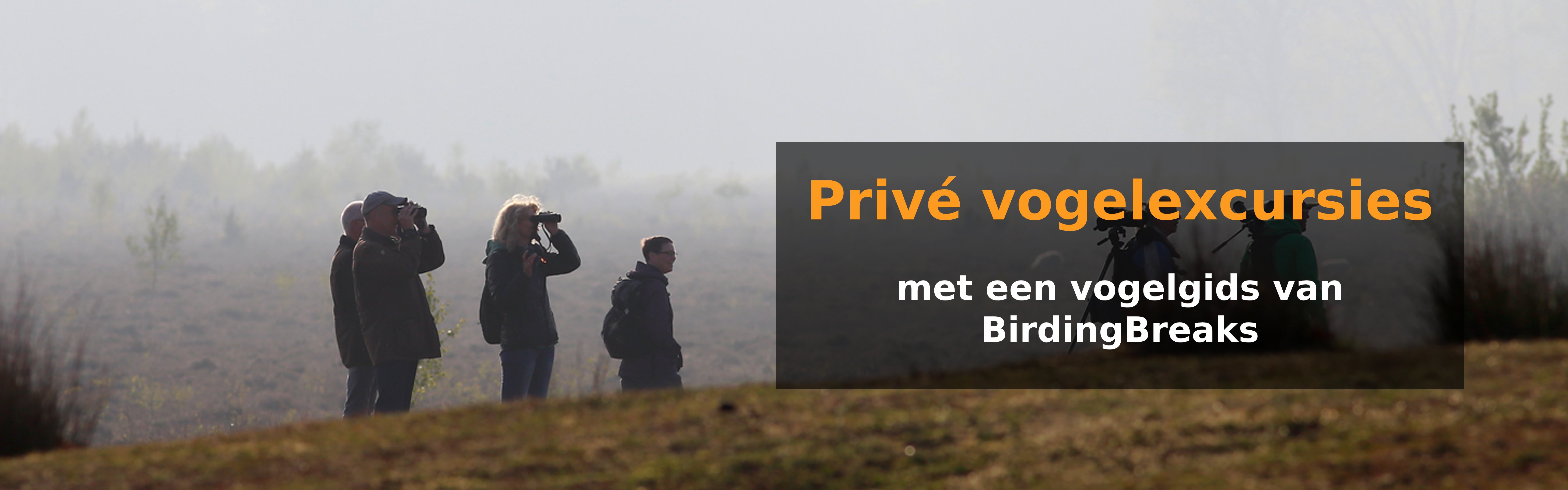 Privé-excursies met een gids van BirdingBreaks