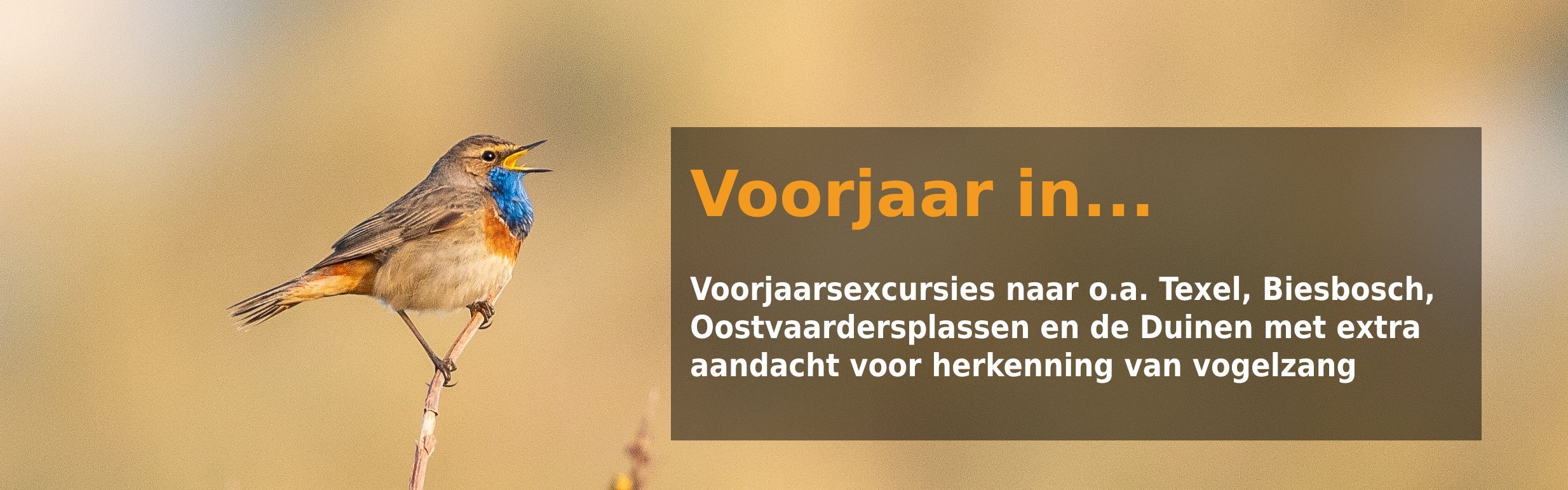 Voorjaar in Nederland