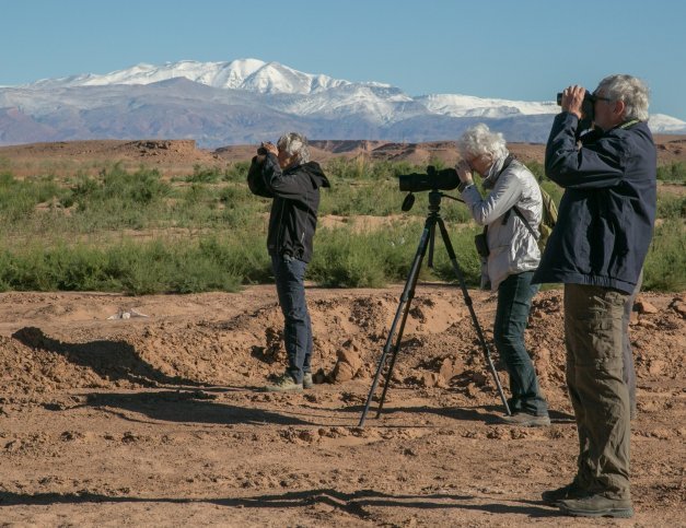 EasyBirding Marokko