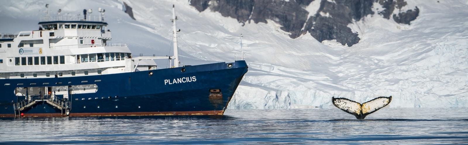 Expeditiecruise M/V Plancius