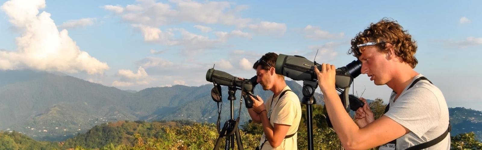 EasyBirding in Georgië - Folkert de Boer