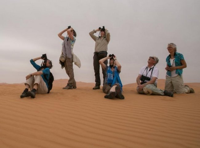 Easy Birding in Marokko