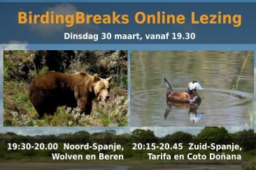 Online lezing Noord- en Zuid-Spanje