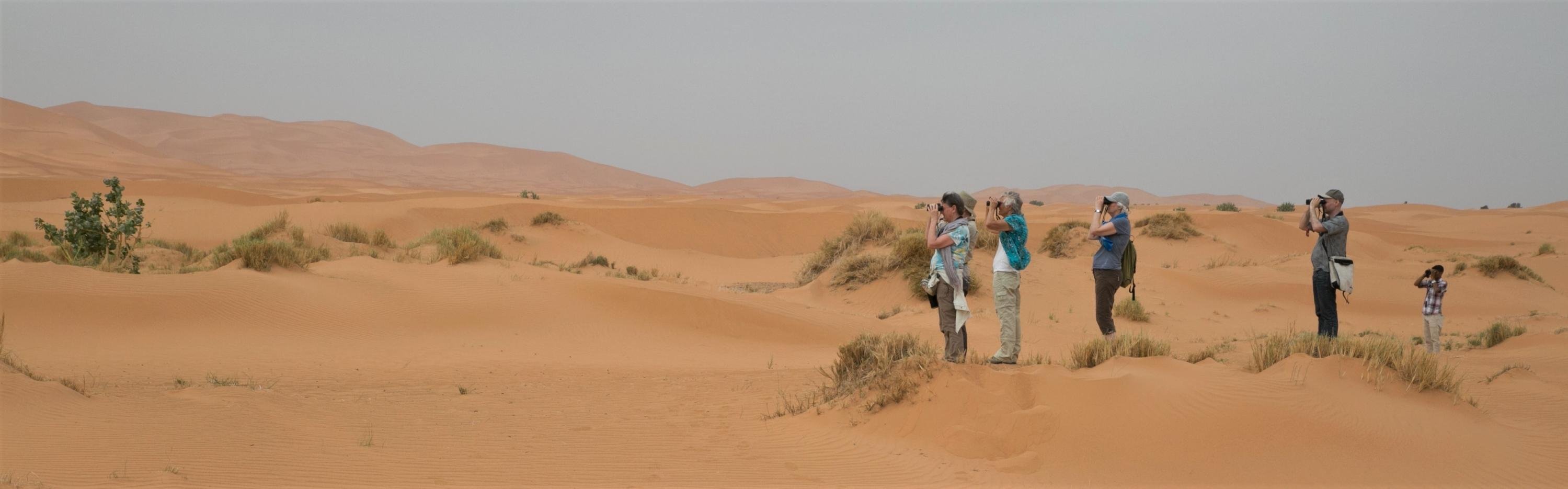 Vogelaars in de woestijn - Marokko - Barend van Gemerden